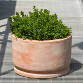 Photo of Campania Amelie Planter - Terra Cotta - Set of 2 - Marquis Gardens